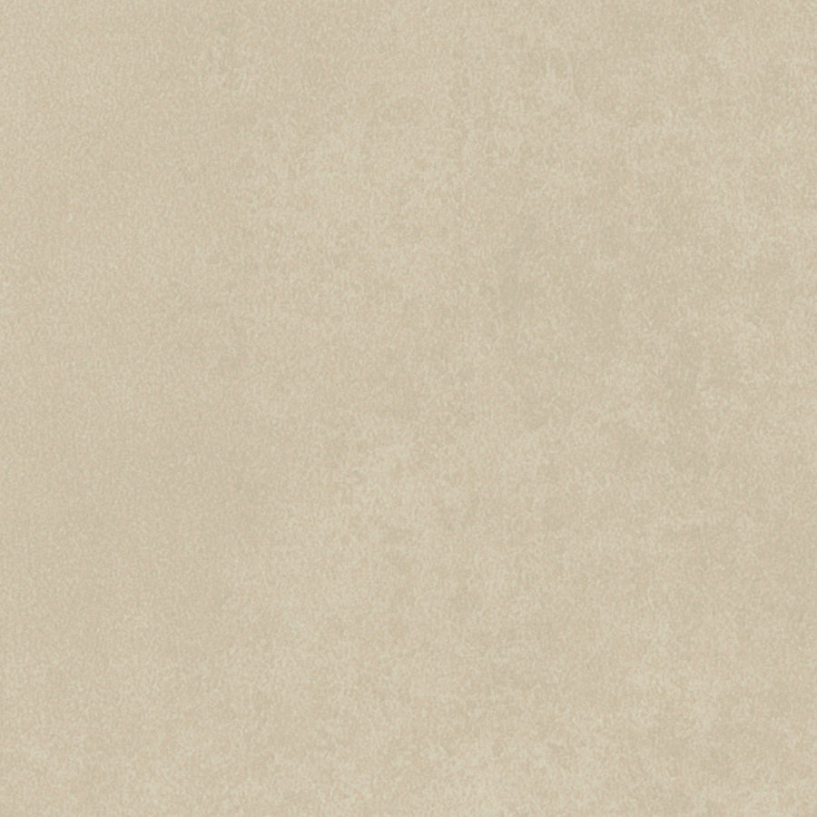 Diffusion Cashew