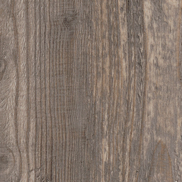 Harbour Pine