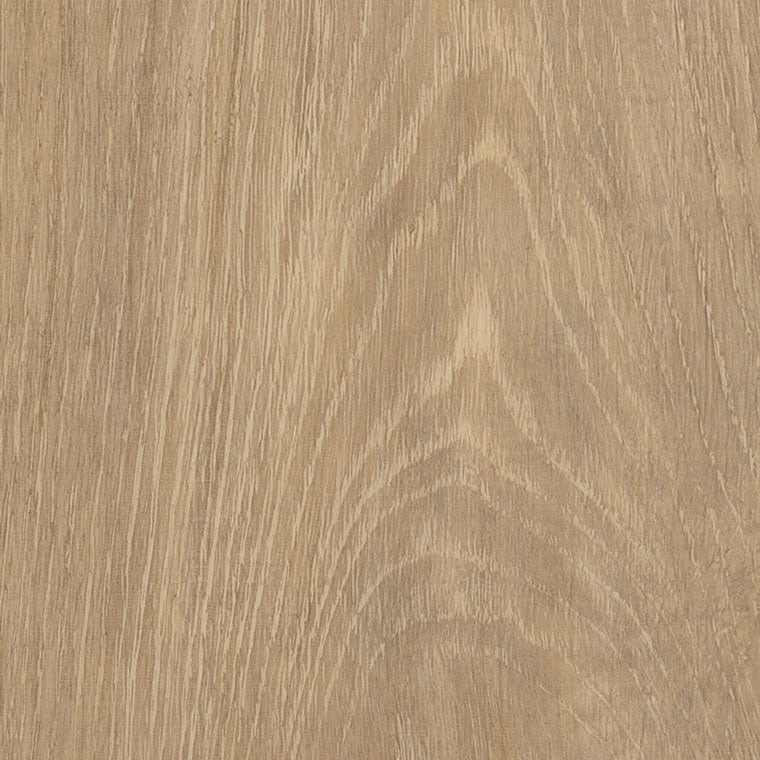 Fawn Oak