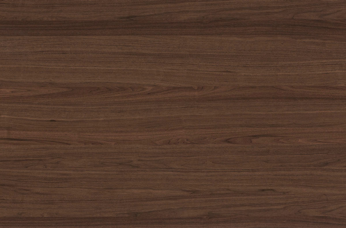 Walnut 19mm
