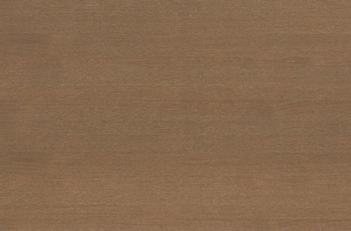Bayonne 1mm