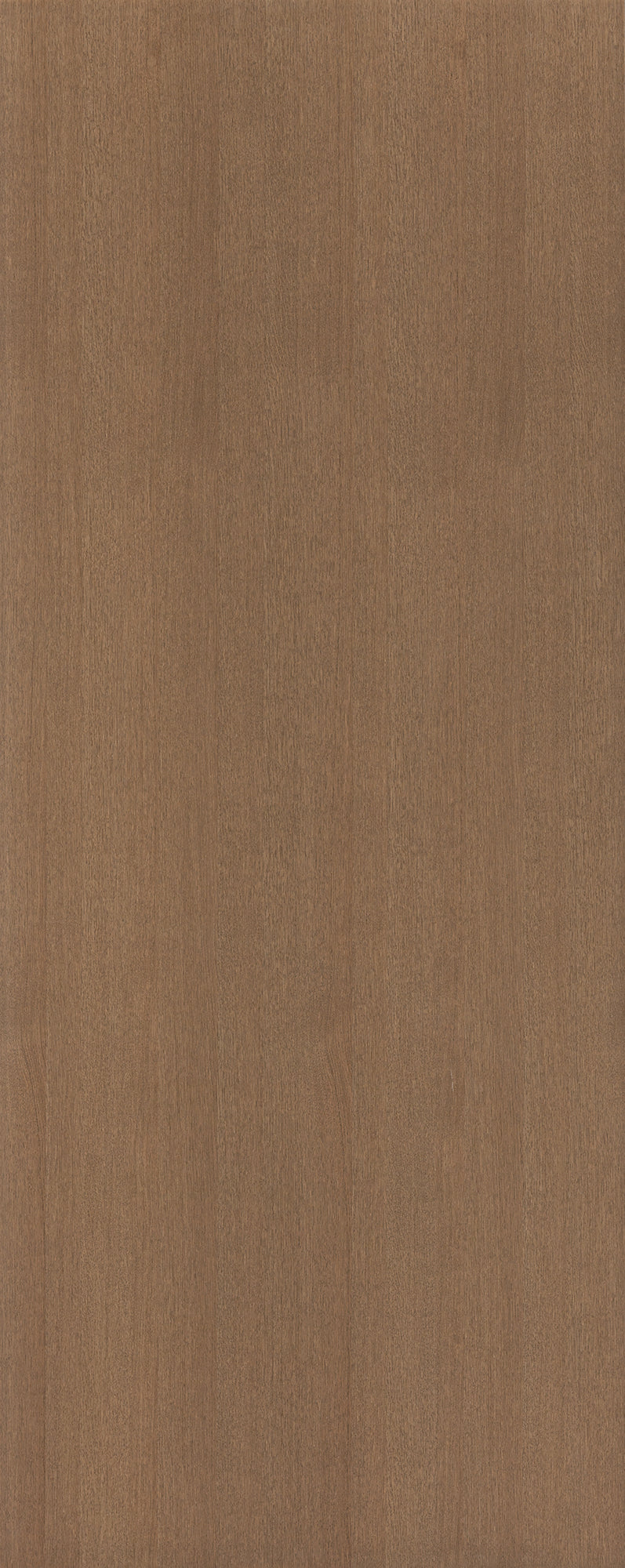 Bayonne 1mm
