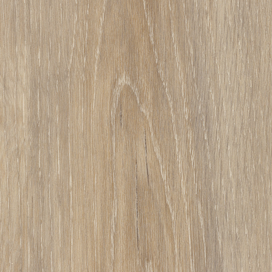 Wilton Oak