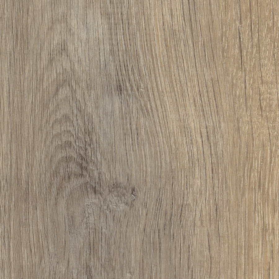 Harrier Oak
