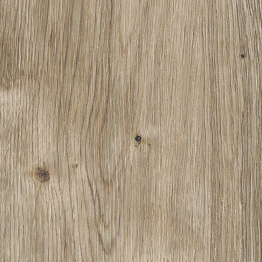 Sun Bleached Oak