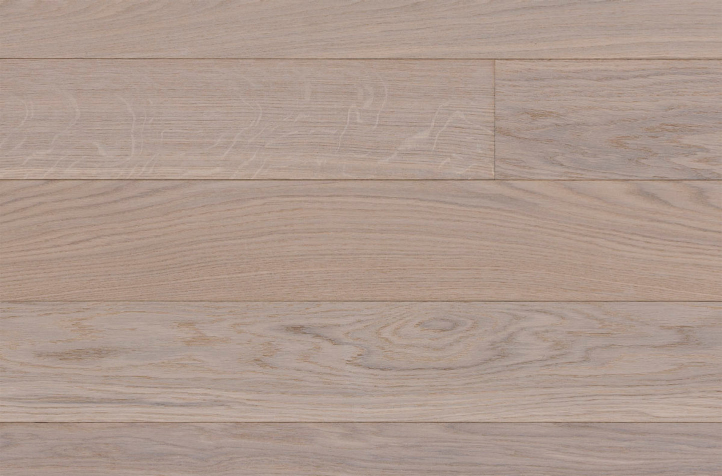 Columba Plank