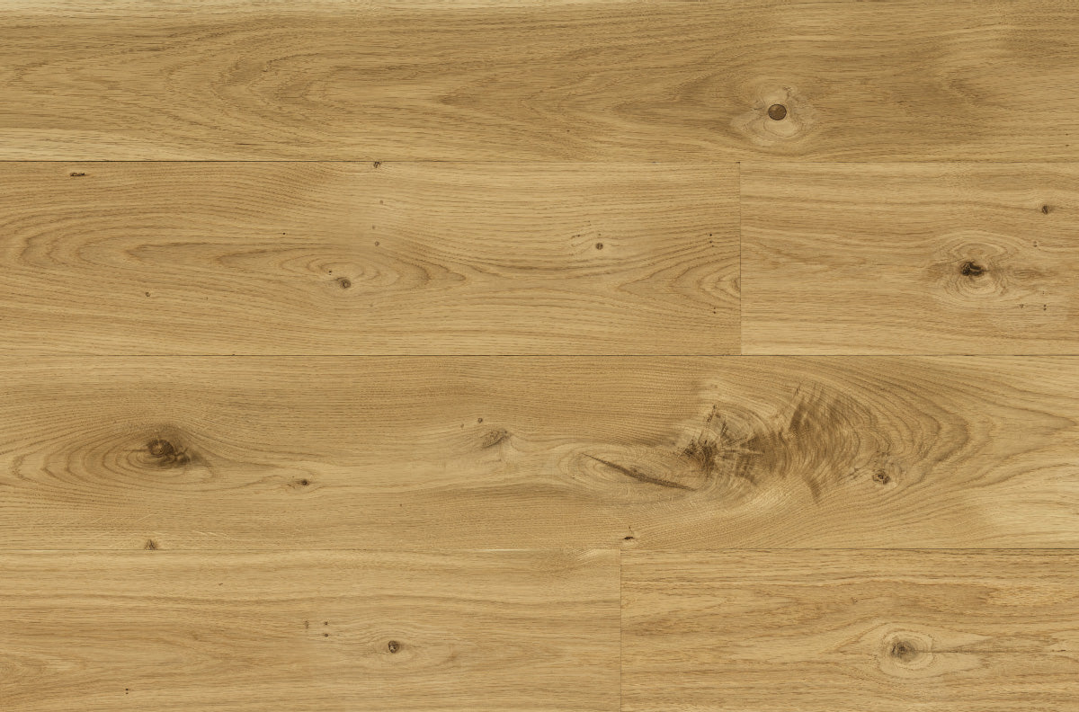 European Oak
