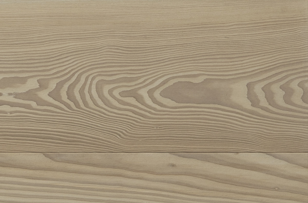 Earth Plank