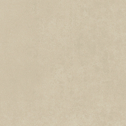Diffusion Cashew