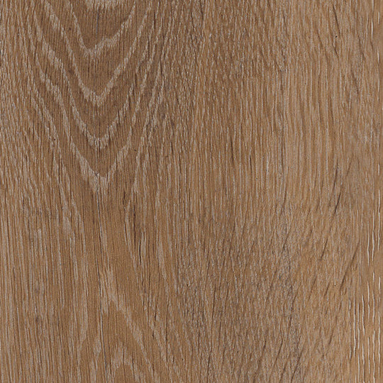 Manor Oak