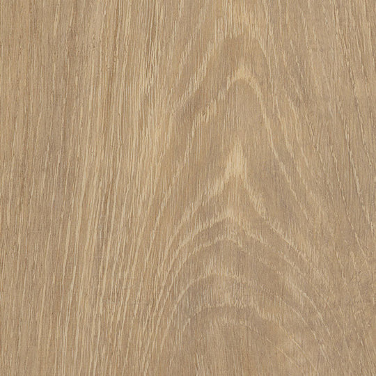 Fawn Oak