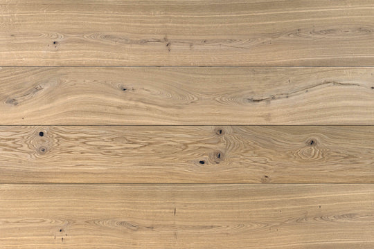 Argus Colossal 220-500mm