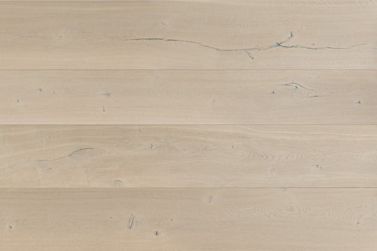 Bestia Colossal 220-500mm