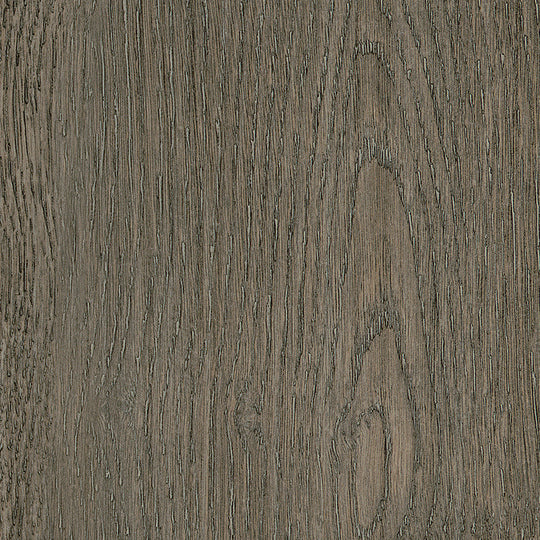 Dutch Oak