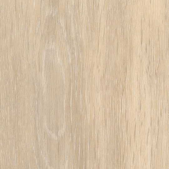 Tidewood Oak