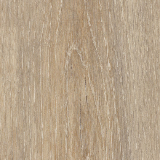 Wilton Oak