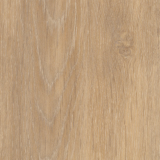 Lyndhurst Oak