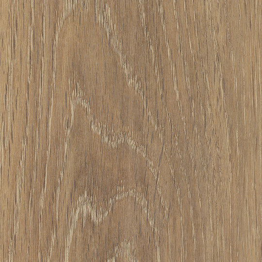 Wenlock Oak
