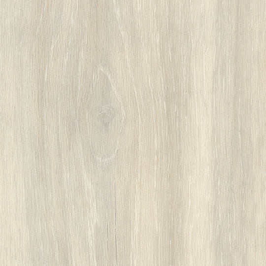 Oyster Oak