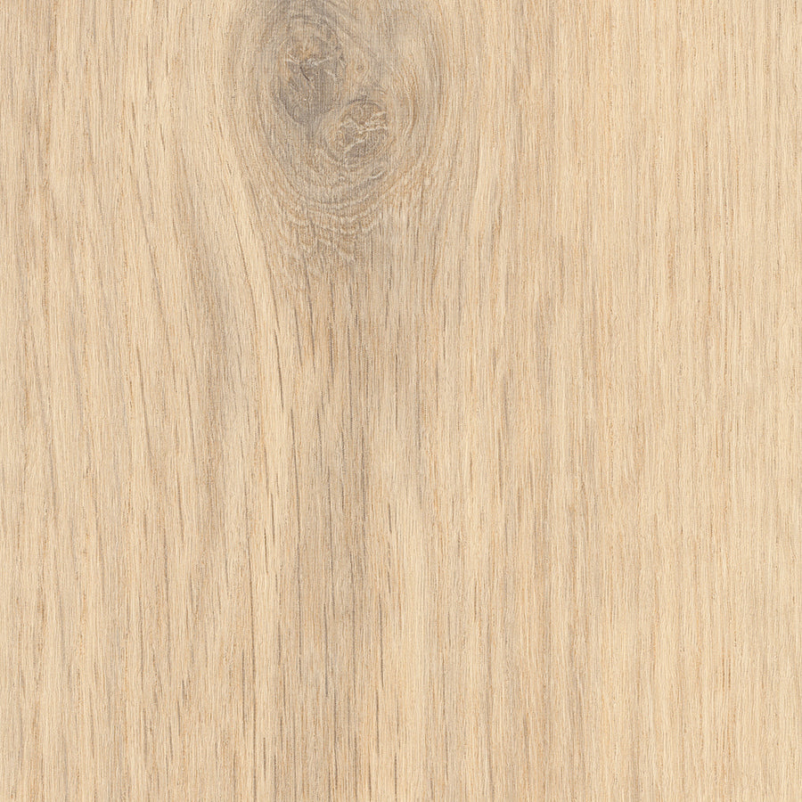 Bude Oak
