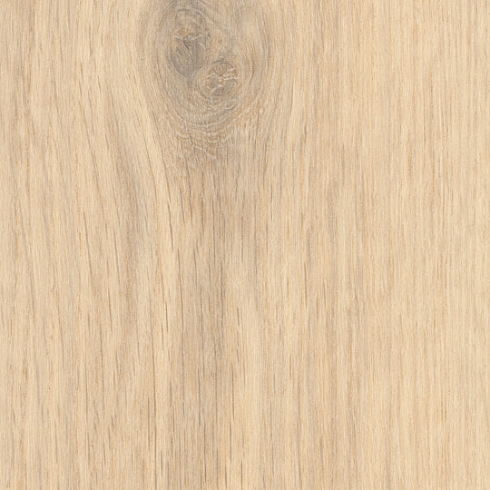 Bude Oak
