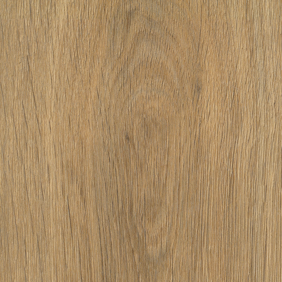 Guild Oak