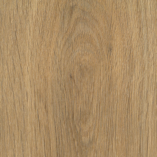 Guild Oak