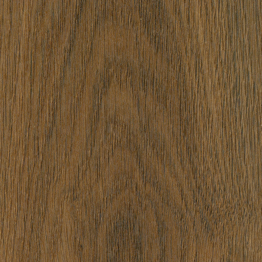 Saddler Oak