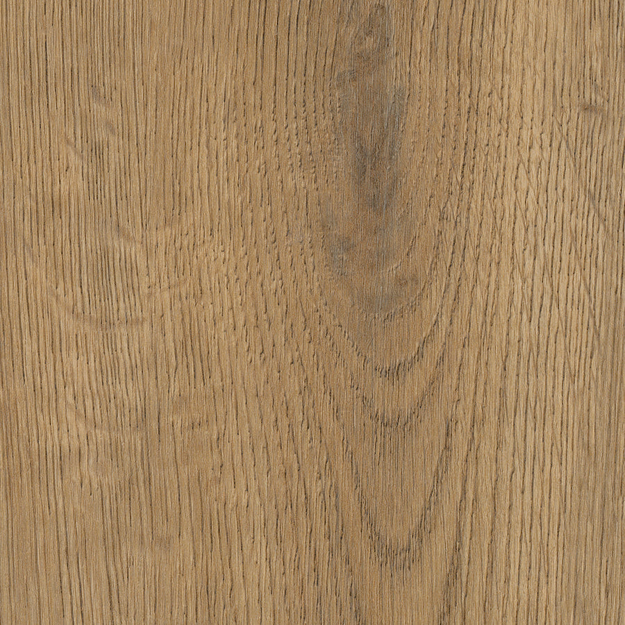 Windsor Oak