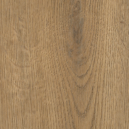 Windsor Oak