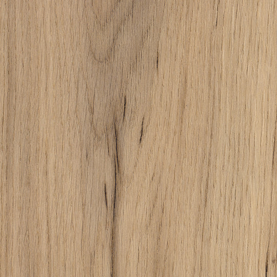 Tailor Oak