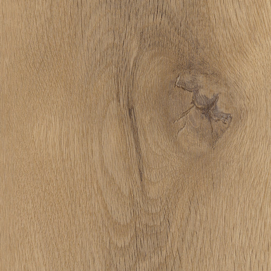 Westmere Oak