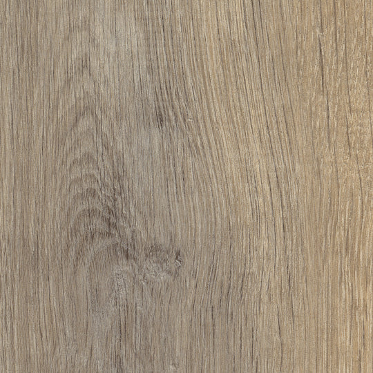 Harrier Oak