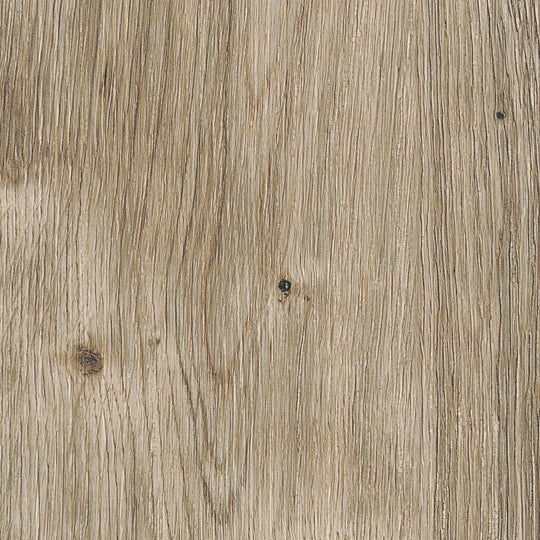 Sun Bleached Oak