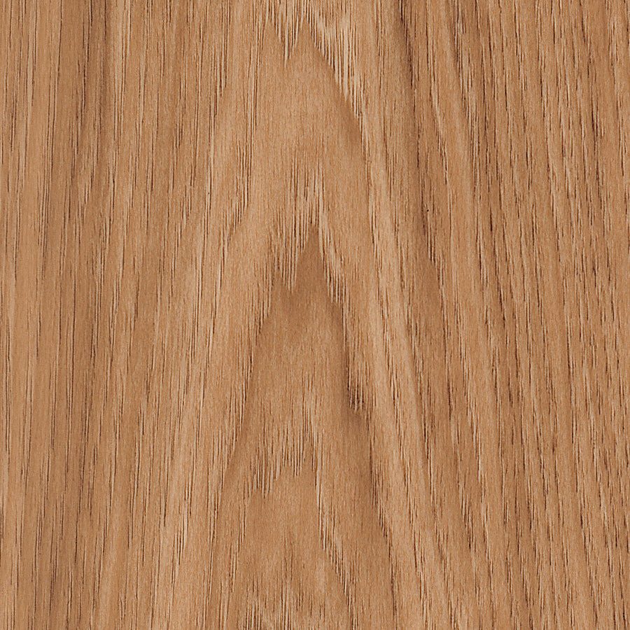 Smoothbark Hickory
