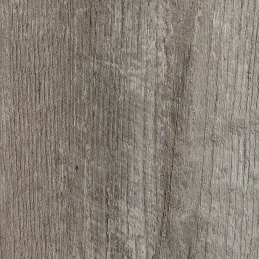 Coastal Pine