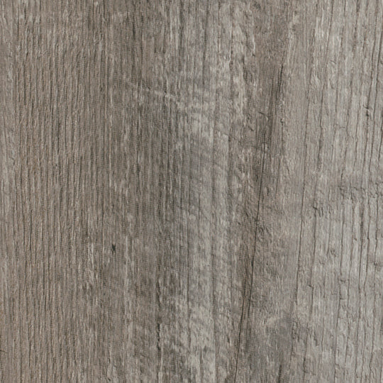 Coastal Pine