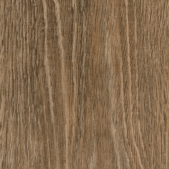 Noble Oak